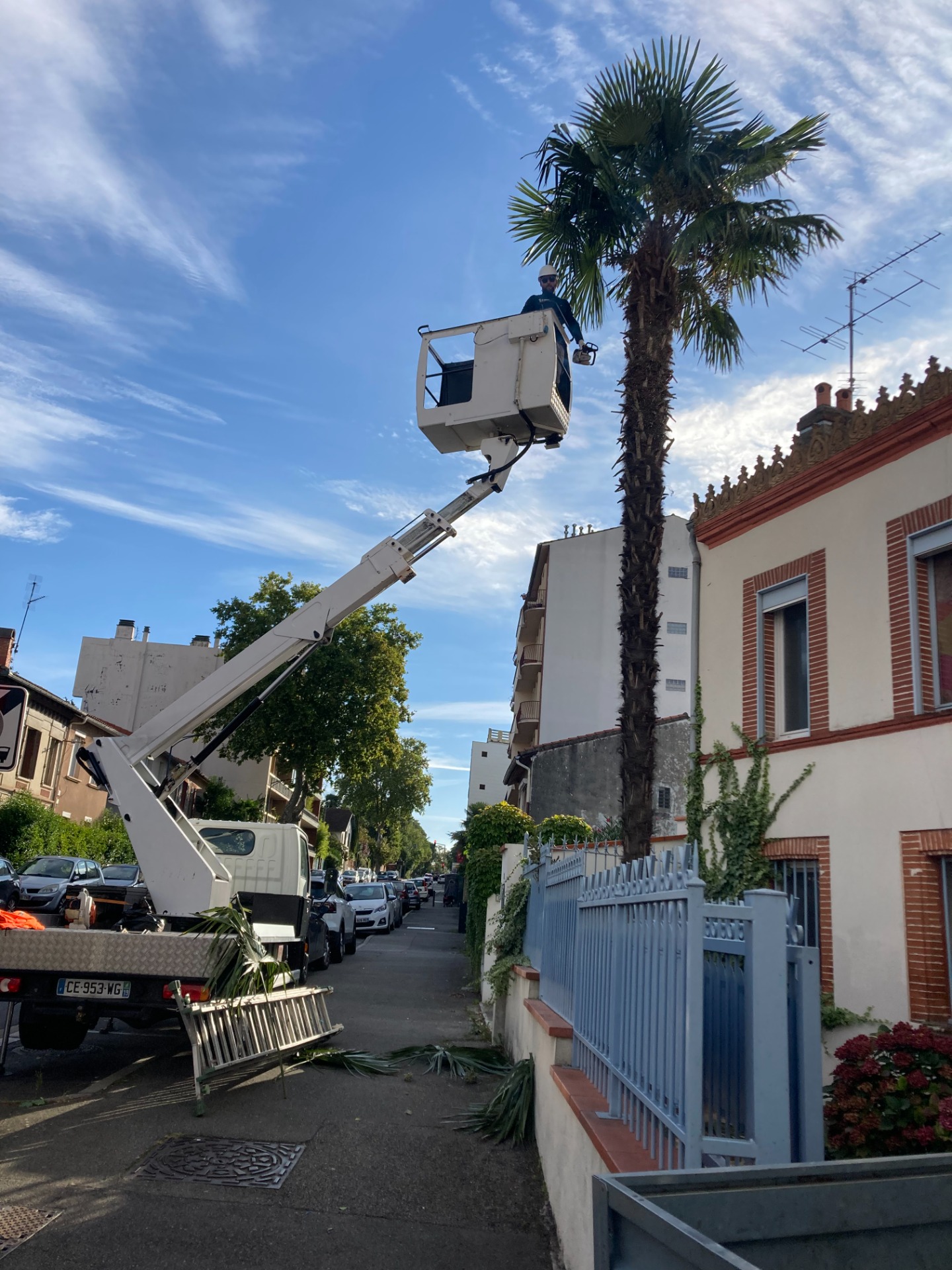 Abattage d'arbre à Colomiers